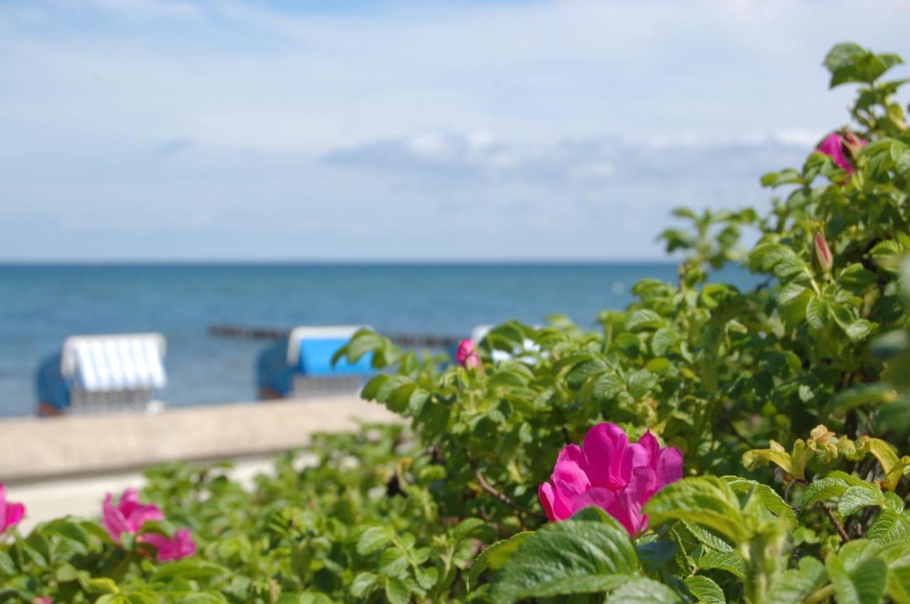 Hotel Am Strand Ostseebad Kühlungsborn Buitenkant foto